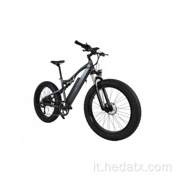 E Bikes Bike Pneumatico grasso 1000 Watt Electric Bicycle